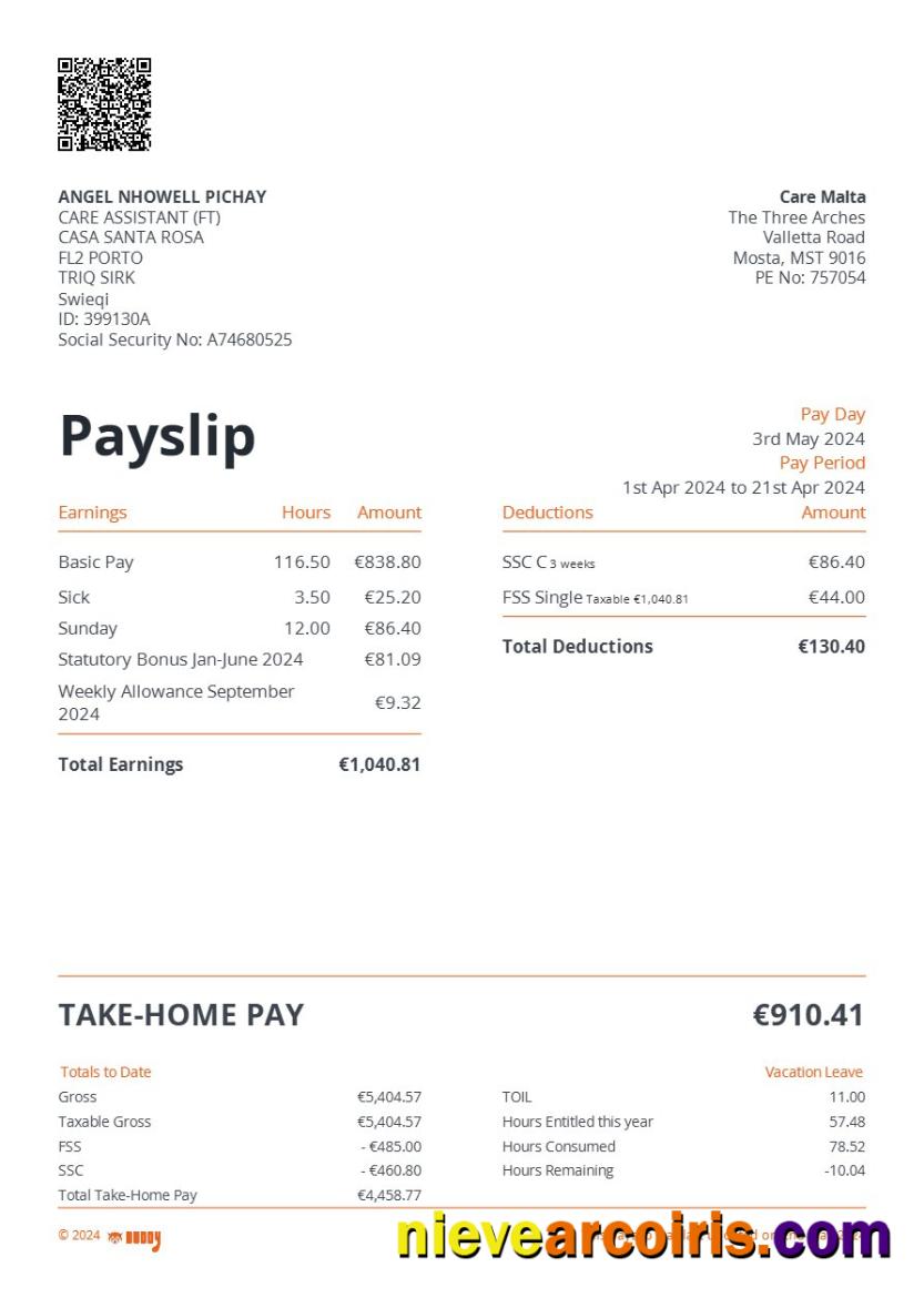 Care Malta payslip